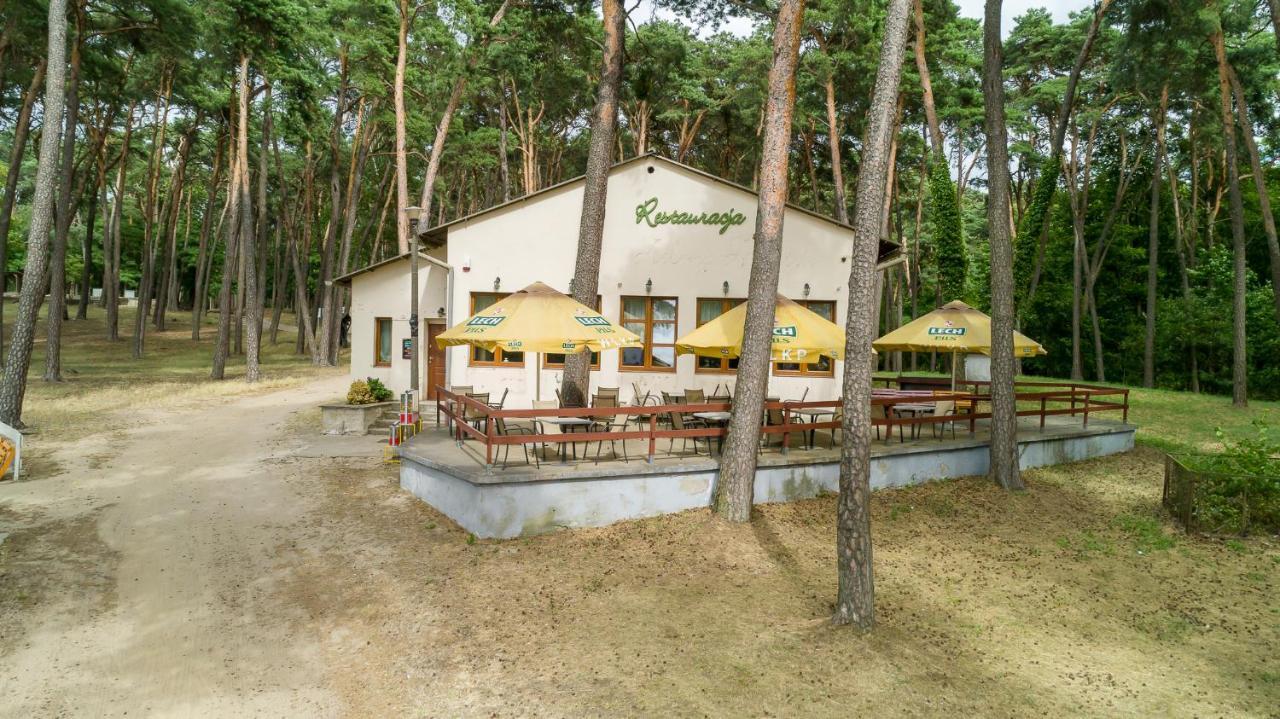 Domki Jak Prlu W Camp Lipno ستونشيف المظهر الخارجي الصورة